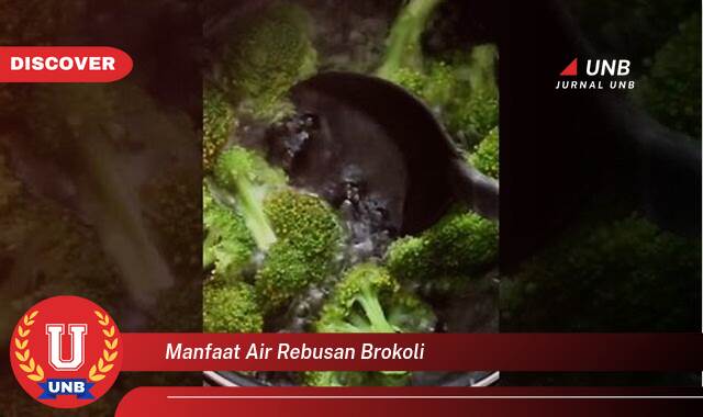 Temukan 10 Manfaat manfaat air rebusan brokoli yang tidak Semua Orang Tau