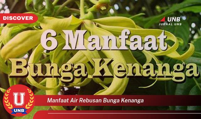 Temukan 9 Manfaat Air Rebusan Bunga Kenanga untuk Kesehatan dan Kecantikan Temukan 9 Manfaat Air Rebusan Bunga Kenanga untuk Kesehatan dan Kecantikan