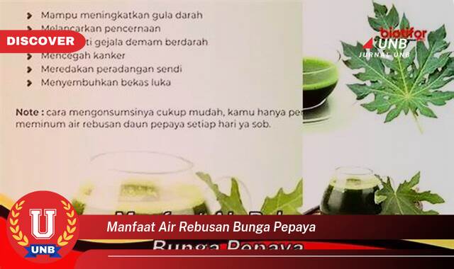 Temukan 9 Manfaat Air Rebusan Bunga Pepaya untuk Kesehatan Anda Temukan 9 Manfaat Air Rebusan Bunga Pepaya untuk Kesehatan Anda