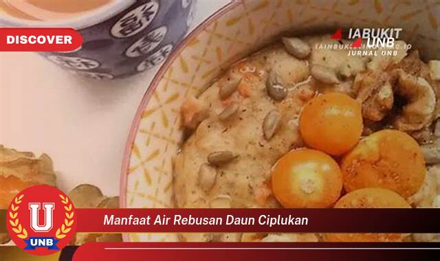 Temukan 10 Manfaat manfaat air rebusan daun ciplukan yang Jarang Diketahui