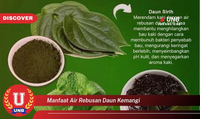 10 Manfaat Air Rebusan Daun Kemangi yang Tak Banyak Orang Tahu