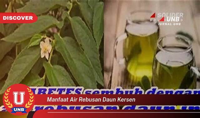 Inilah 9 Manfaat manfaat air rebusan daun kersen yang Wajib kamu ketahui