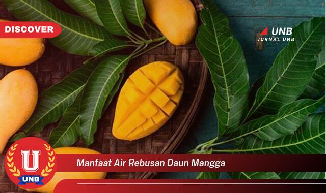 Inilah 10 Manfaat manfaat air rebusan daun mangga yang Wajib kamu ketahui