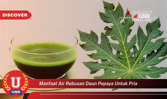 Temukan 8 Manfaat Air Rebusan Daun Pepaya untuk Pria, Meningkatkan Stamina dan Vitalitas