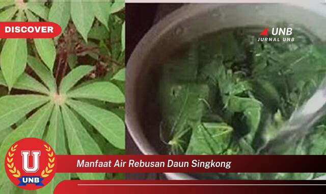 Temukan 10 Manfaat manfaat air rebusan daun singkong yang Jarang Diketahui