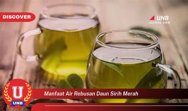 Temukan 9 Manfaat manfaat air rebusan daun sirih merah yang Wajib Kamu Intip