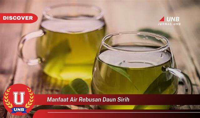 Temukan 10 Manfaat Air Rebusan Daun Sirih untuk Kesehatan Anda Temukan 10 Manfaat Air Rebusan Daun Sirih untuk Kesehatan Anda