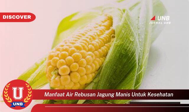 Temukan 8 Manfaat Air Rebusan Jagung Manis untuk Kesehatan, Dari Pencernaan Hingga Imunitas Temukan 8 Manfaat Air Rebusan Jagung Manis untuk Kesehatan, Dari Pencernaan Hingga Imunitas
