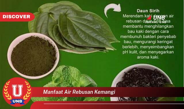 Inilah 9 Manfaat manfaat air rebusan kemangi yang tidak Semua Orang Tau