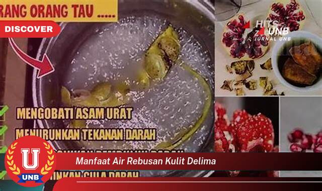 Temukan 10 Manfaat manfaat air rebusan kulit delima yang Wajib Kamu Intip