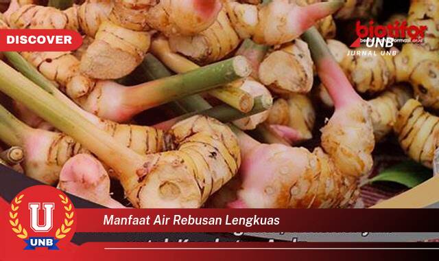 Temukan 10 Manfaat Air Rebusan Lengkuas untuk Kesehatan Tubuh Anda