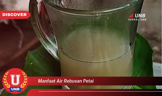 Temukan 9 Manfaat manfaat air rebusan petai yang Wajib Kamu Intip