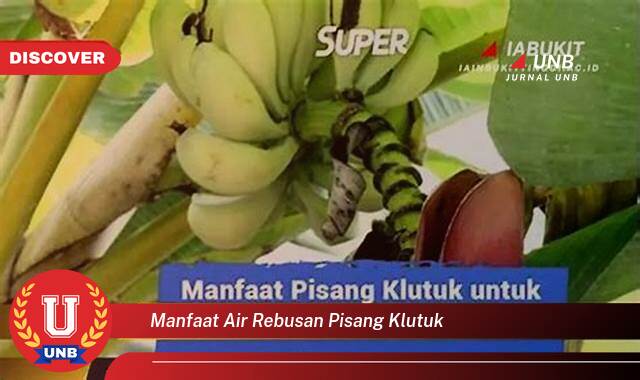 Temukan 9 Manfaat Air Rebusan Pisang Klutuk yang Bikin Kamu Penasaran