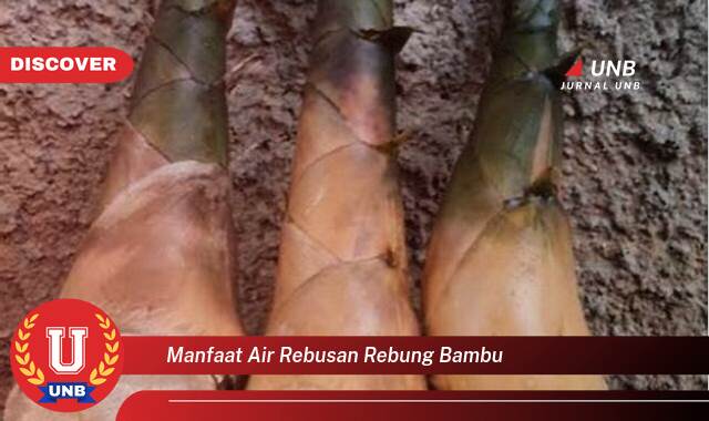 Temukan 10 Manfaat manfaat air rebusan rebung bambu yang Wajib Kamu Intip