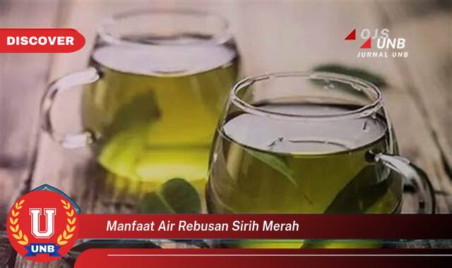 Temukan 9 Manfaat manfaat air rebusan sirih merah yang Wajib kamu ketahui