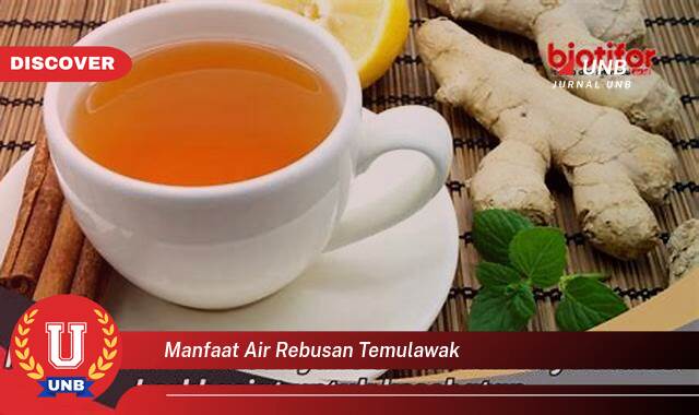 8 Manfaat manfaat air rebusan temulawak yang Bikin Kamu Penasaran