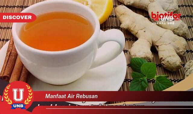 Temukan 8 Manfaat Air Rebusan Berbagai Bahan Alami untuk Kesehatan Anda Temukan 8 Manfaat Air Rebusan Berbagai Bahan Alami untuk Kesehatan Anda