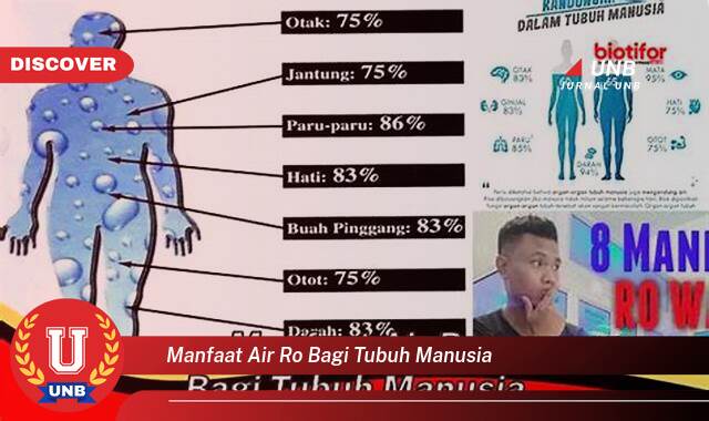 Temukan 9 Manfaat manfaat air ro bagi tubuh manusia yang Jarang Diketahui