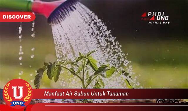 Inilah 9 Manfaat air sabun untuk tanaman yang tidak Semua Orang Tau