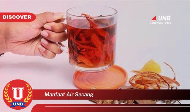 Inilah 8 Manfaat manfaat air secang yang Jarang Diketahui