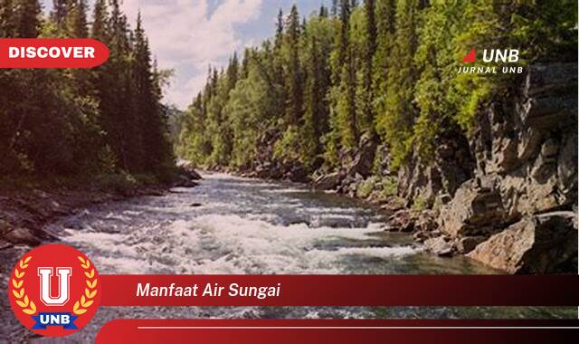 Temukan Segudang Manfaat Air Sungai untuk Kehidupan Sehari,hari dan Lingkungan Temukan Segudang Manfaat Air Sungai untuk Kehidupan Sehari,hari dan Lingkungan