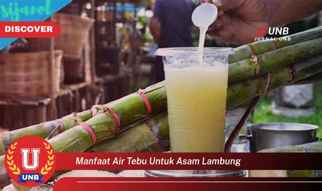 Temukan 8 Manfaat Air Tebu untuk Asam Lambung, Redakan Gejala dan Rasakan Nyaman