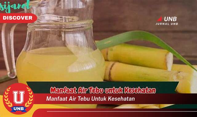 Ketahui 8 Manfaat manfaat air tebu untuk kesehatan yang Wajib Kamu Intip