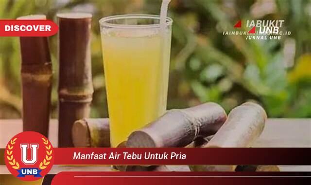 Temukan 10 Manfaat Air Tebu untuk Kesehatan Pria, Energi, Stamina, dan Lainnya