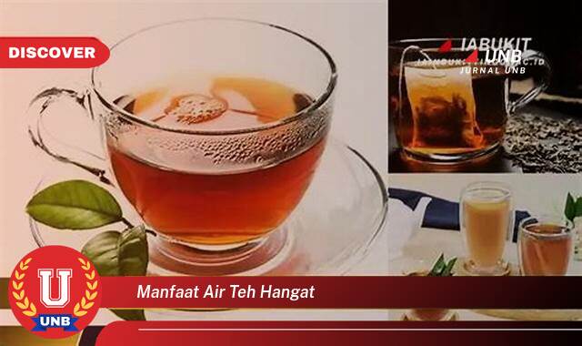 Inilah 10 Manfaat manfaat air teh hangat yang Jarang Diketahui