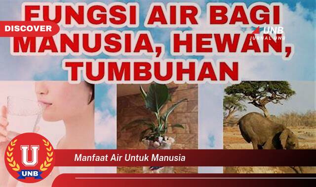 Temukan 10 Manfaat Air untuk Manusia, Rahasia Kesehatan dan Kebugaran Tubuh Anda Temukan 10 Manfaat Air untuk Manusia, Rahasia Kesehatan dan Kebugaran Tubuh Anda