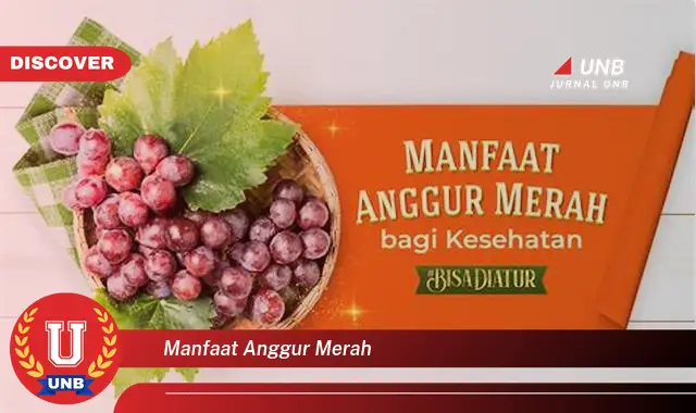 manfaat anggur merah