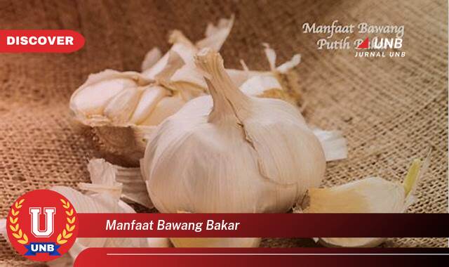 Inilah 10 Manfaat bawang bakar yang Wajib Kamu Intip