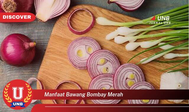 Inilah 10 Manfaat manfaat bawang bombay merah yang Jarang Diketahui
