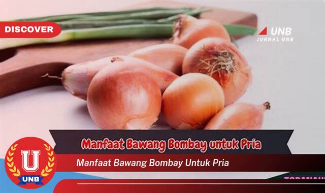 Temukan 9 Manfaat Bawang Bombay untuk Kesehatan Pria, Meningkatkan Stamina, Vitalitas, dan Daya Tahan Tubuh