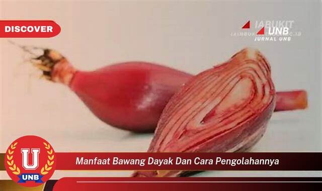 Inilah 9 Manfaat manfaat bawang dayak dan cara pengolahannya yang Wajib kamu ketahui