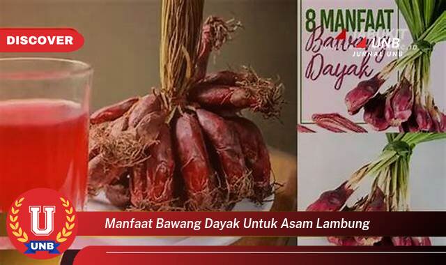 Temukan 9 Manfaat Bawang Dayak untuk Asam Lambung yang Wajib Kamu Ketahui