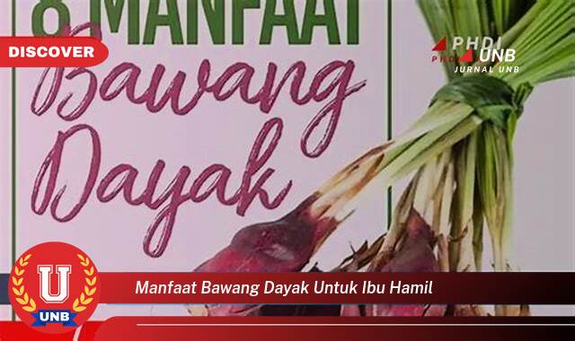 Temukan 9 Manfaat manfaat bawang dayak untuk ibu hamil yang Wajib Kamu Intip