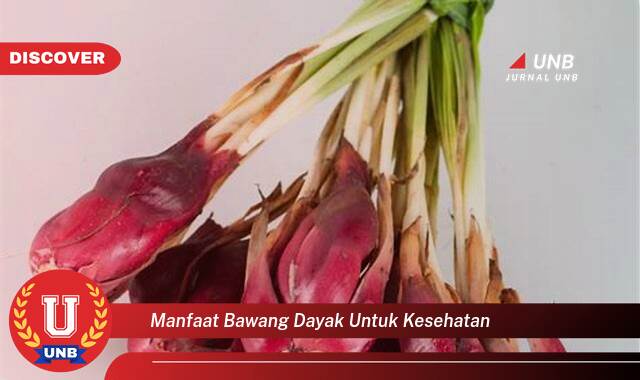 Temukan 10 Manfaat Bawang Dayak untuk Kesehatan, Meningkatkan Imunitas dan Mengatasi Berbagai Penyakit Temukan 10 Manfaat Bawang Dayak untuk Kesehatan, Meningkatkan Imunitas dan Mengatasi Berbagai Penyakit
