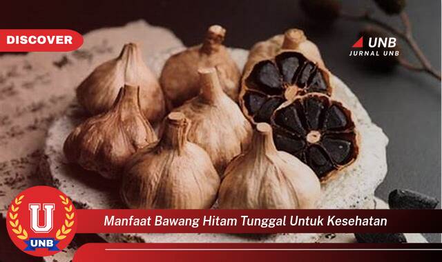 8 Manfaat manfaat bawang hitam tunggal untuk kesehatan yang tidak Semua Orang Tau