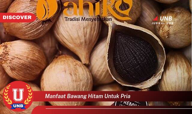 Temukan 8 Manfaat manfaat bawang hitam untuk pria yang Wajib kamu ketahui