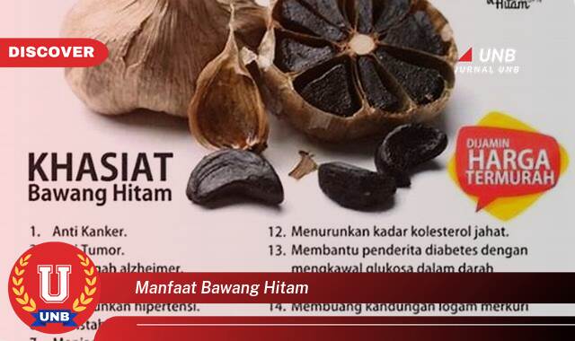 Temukan 8 Manfaat Bawang Hitam untuk Kesehatan, Kecantikan, dan Cara Mengolahnya