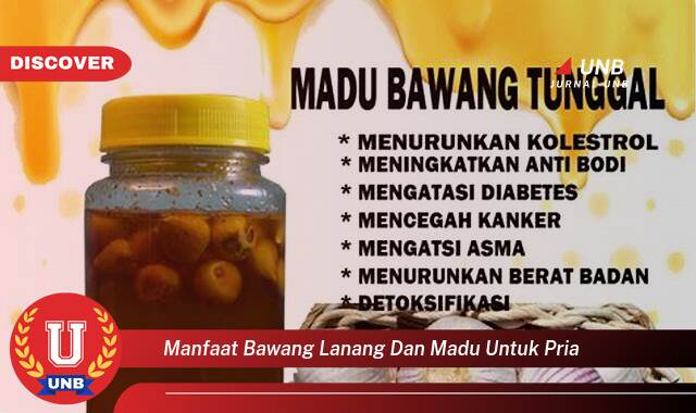 Temukan 9 Manfaat Bawang Lanang dan Madu untuk Pria, Meningkatkan Stamina dan Vitalitas