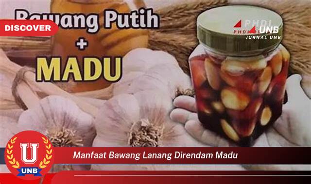8 Manfaat manfaat bawang lanang direndam madu yang Wajib kamu ketahui