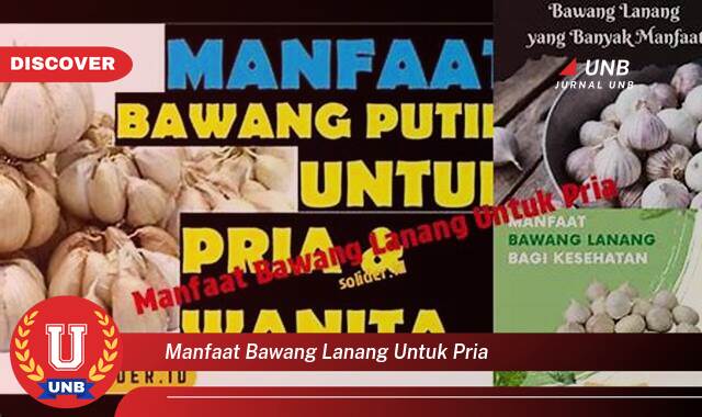 Temukan 8 Manfaat Bawang Lanang untuk Pria, Meningkatkan Stamina dan Vitalitas