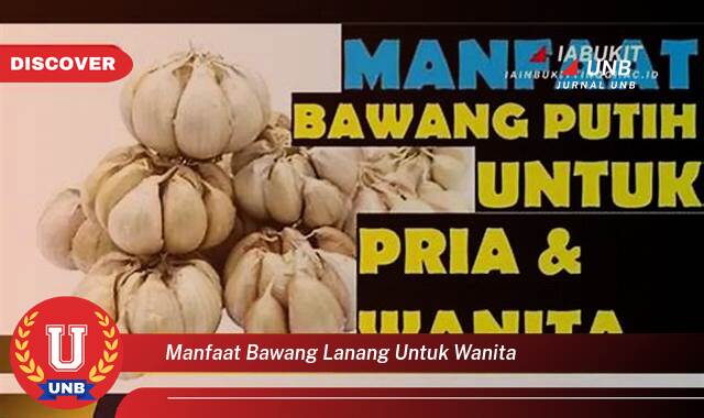 Temukan 10 Manfaat Bawang Lanang untuk Wanita, Meningkatkan Kesuburan, Mengatasi Keputihan, dan Lainnya