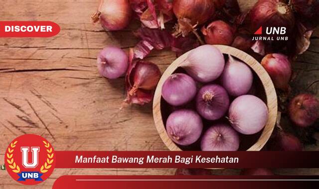 Inilah 8 Manfaat Bawang Merah bagi Kesehatan yang Jarang Diketahui