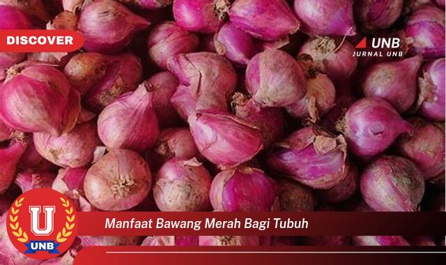 Ketahui 9 Manfaat bawang merah bagi tubuh yang Wajib kamu ketahui