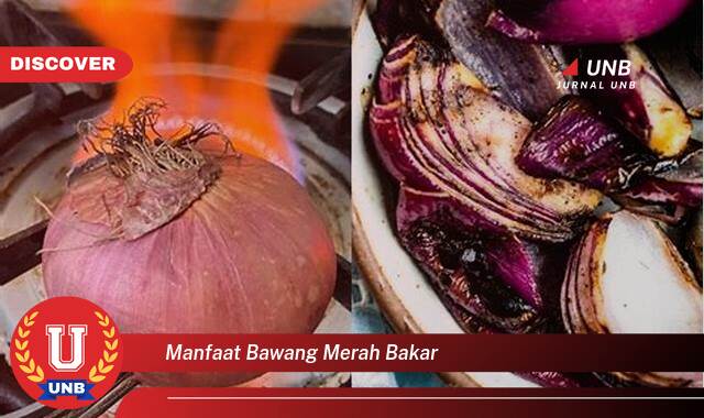 Temukan 9 Manfaat Bawang Merah Bakar untuk Kesehatan, Meningkatkan Imunitas dan Lainnya Temukan 9 Manfaat Bawang Merah Bakar untuk Kesehatan, Meningkatkan Imunitas dan Lainnya