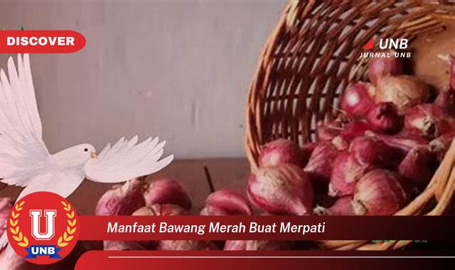 9 Manfaat manfaat bawang merah buat merpati yang Wajib kamu ketahui
