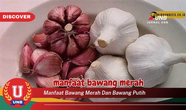 8 Manfaat Bawang Merah &, Putih yang Jarang Diketahui